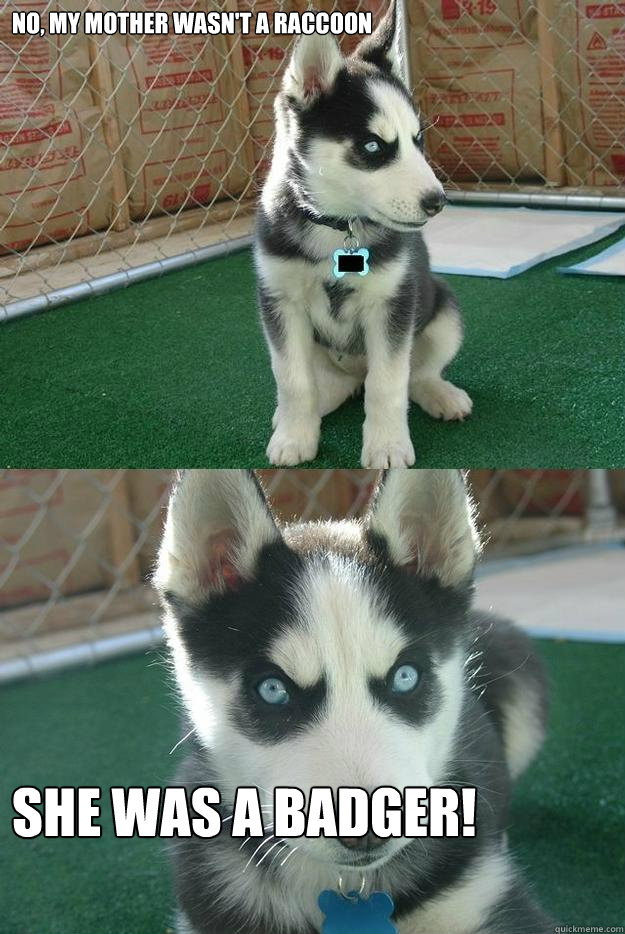No, my mother wasn't a Raccoon She was a badger!  Insanity puppy