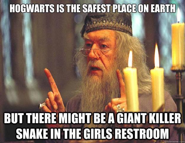 Hogwarts is the safest place on earth but there might be a giant killer snake in the girls restroom  Dumbledore