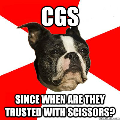 CGS since when are they trusted with scissors? - CGS since when are they trusted with scissors?  BU Kid Terrer