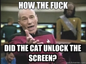 How the fuck did the cat unlock the screen? - How the fuck did the cat unlock the screen?  Annoyed Picard