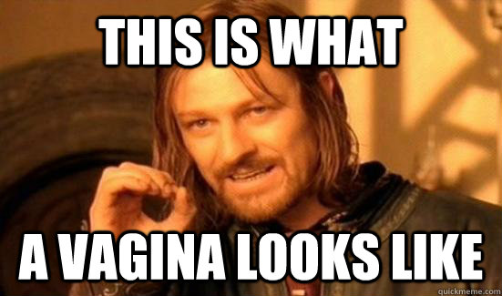 This is what a vagina looks like  Boromir
