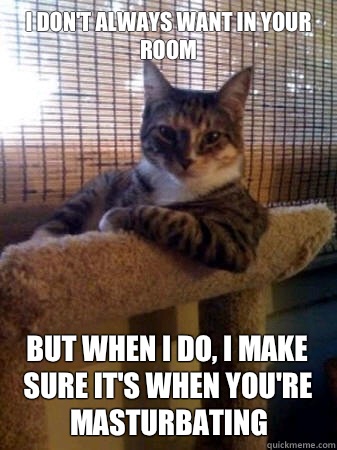 I don't always want in your room but when I do, I make sure it's when you're masturbating   The Most Interesting Cat in the World