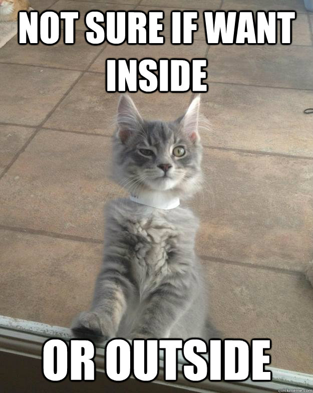 Not sure if want inside or outside - Not sure if want inside or outside  Misc