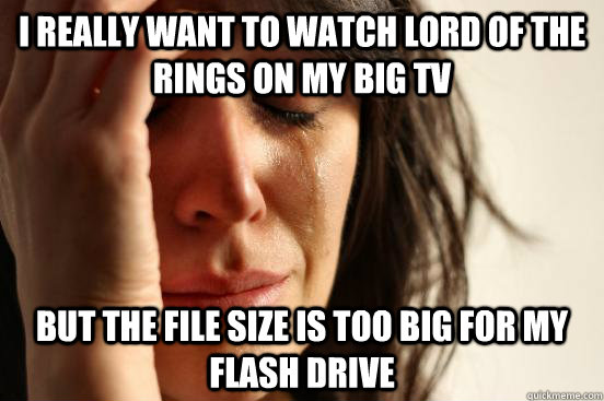 I really want to watch Lord of the Rings on my big TV But the file size is too big for my flash drive  First World Problems