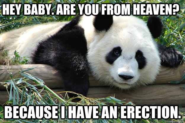 Hey Baby. Are you from Heaven? Because I have an erection.  
