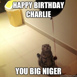 Happy Birthday Charlie You big Niger - Happy Birthday Charlie You big Niger  Sad Birthday Cat
