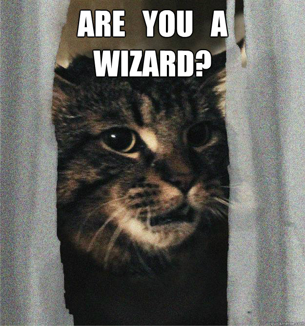 Are   you   a
wizard?  - Are   you   a
wizard?   kittywizard2