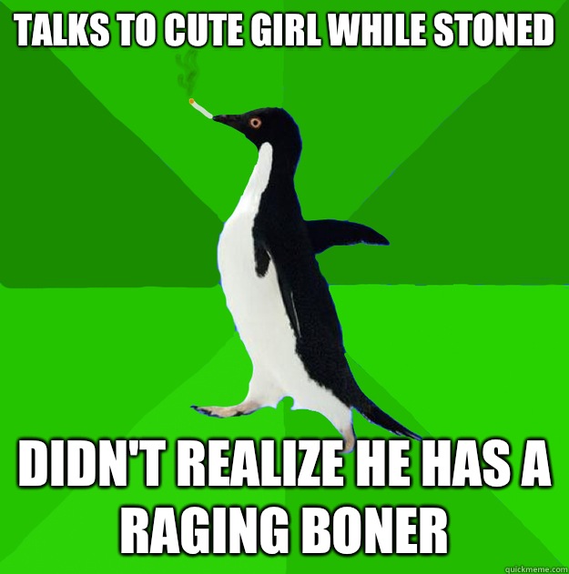 Talks to cute girl while stoned Didn't realize he has a raging boner - Talks to cute girl while stoned Didn't realize he has a raging boner  Stoner Penguin