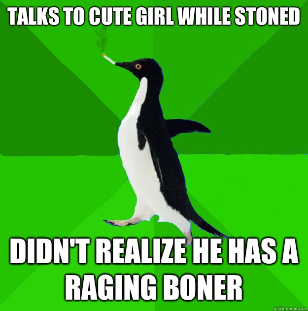 Talks to cute girl while stoned Didn't realize he has a raging boner  Stoner Penguin