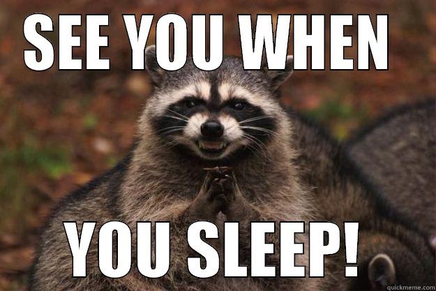 SEE YOU WHEN  YOU SLEEP! Evil Plotting Raccoon