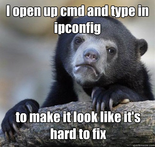 I open up cmd and type in ipconfig to make it look like it's hard to fix - I open up cmd and type in ipconfig to make it look like it's hard to fix  Confession Bear Eating