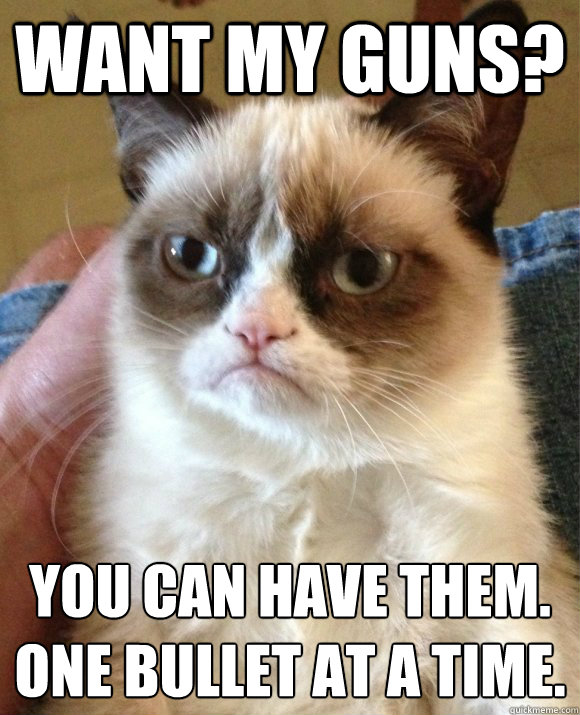 Want my guns? You can have them.  
One bullet at a time.   Tard the Cat