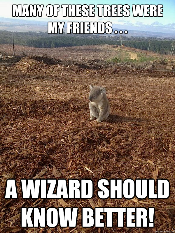 Many of these Trees were my friends . . . A Wizard Should KNOW BETTER! - Many of these Trees were my friends . . . A Wizard Should KNOW BETTER!  Treebeard Koala Bear