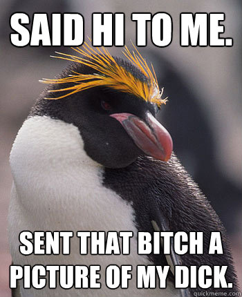 Said hi to me. Sent that bitch a picture of my dick.  Socially Overconfident Penguin