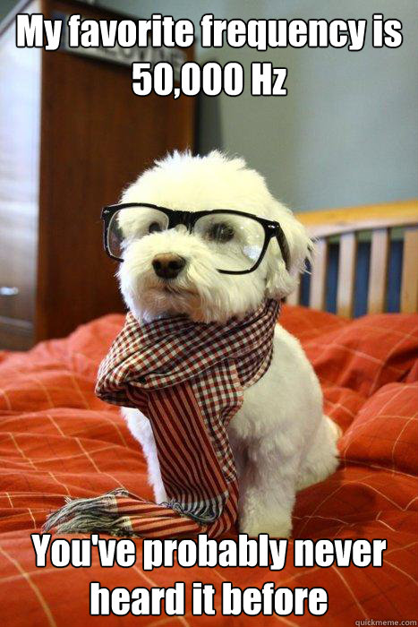 My favorite frequency is 50,000 Hz You've probably never heard it before  Hipster Dog