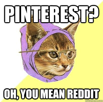 Pinterest? Oh, you mean Reddit  Hipster Kitty
