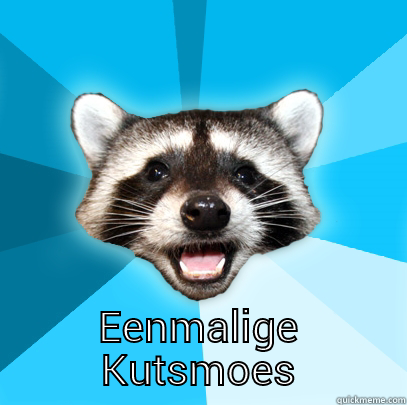 EENMALIGE KUTSMOES Lame Pun Coon