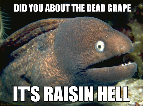 Did you about the dead grape it's raisin hell  Bad Joke Eel