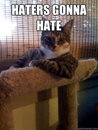 Haters gonna hate   The Most Interesting Cat in the World