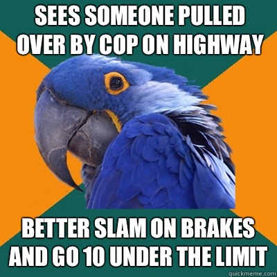 Sees someone pulled over by cop on highway Better slam on brakes and go 10 under the limit  Paranoid Parrot