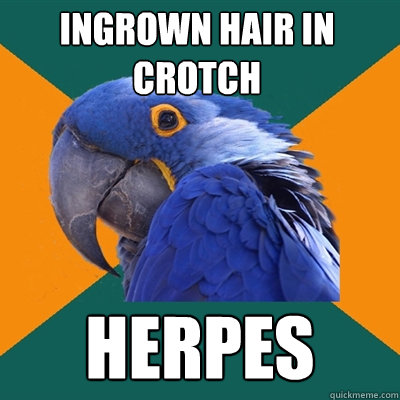 Ingrown hair in crotch HERPES  Paranoid Parrot