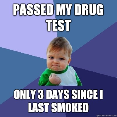 Passed my drug test Only 3 days since I last smoked  Success Kid