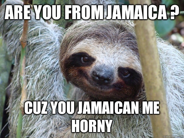 Are you from Jamaica ? Cuz you Jamaican me horny  - Are you from Jamaica ? Cuz you Jamaican me horny   Pickup-Line-Sloth