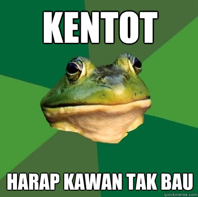 kentot harap kawan tak bau   Foul Bachelor Frog