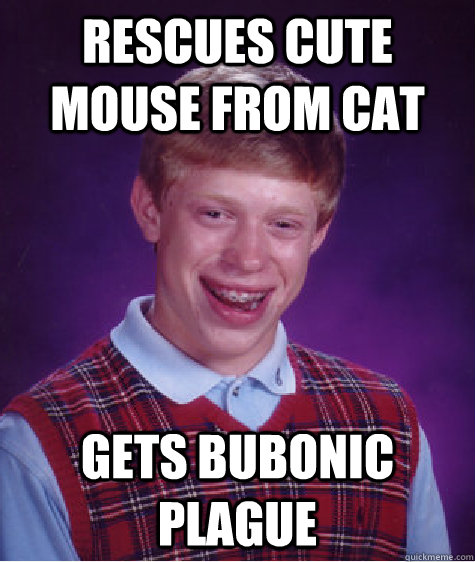 Rescues cute mouse from cat gets bubonic plague  Bad Luck Brian
