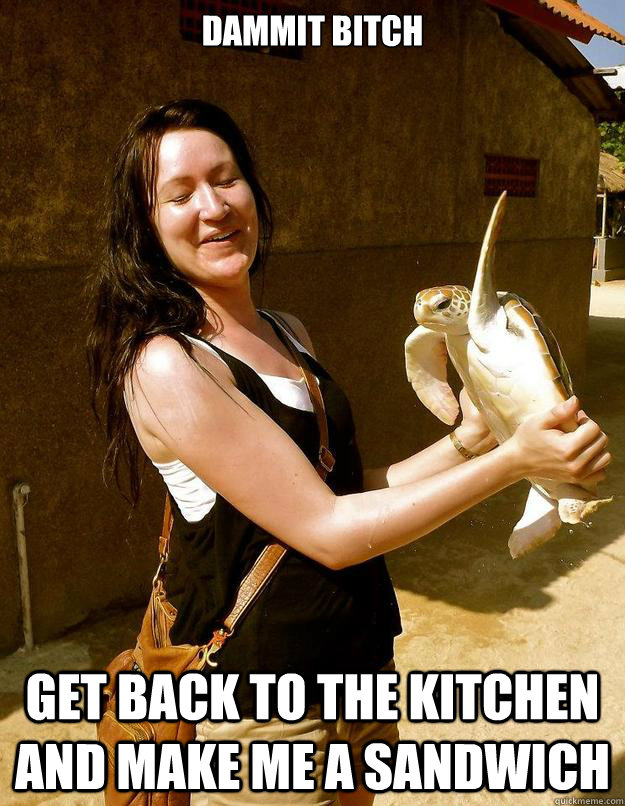 DAmmit Bitch Get back to the kitchen and make me a sandwich  Domestic Violence Turtle