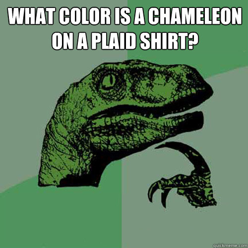 What color is a chameleon on a plaid shirt?   Philosoraptor