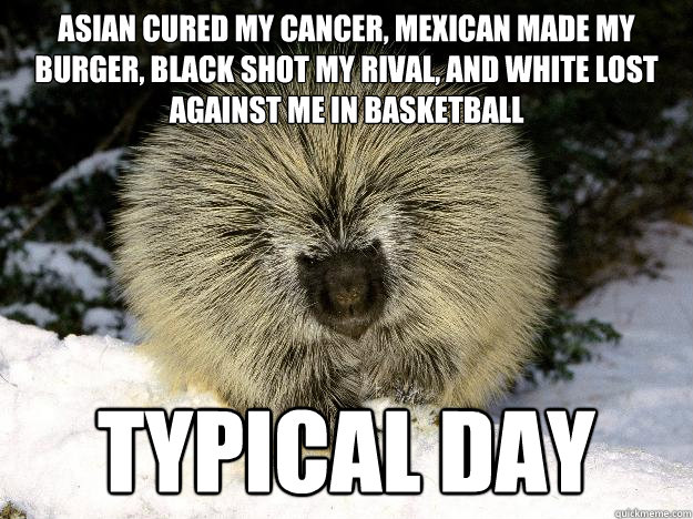 Asian cured my cancer, mexican made my burger, black shot my rival, and white lost against me in basketball typical day - Asian cured my cancer, mexican made my burger, black shot my rival, and white lost against me in basketball typical day  Overly Racist Porcupine