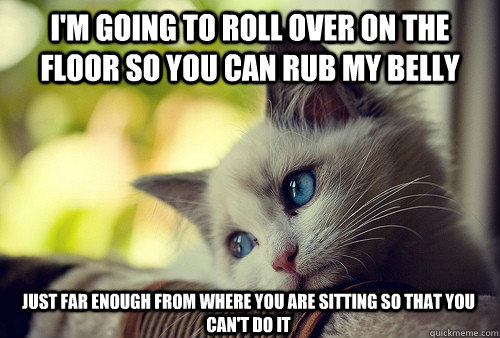 I'm going to roll over on the floor so you can rub my belly Just far enough from where you are sitting so that you can't do it  First World Problems Cat