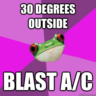 30 Degrees Outside BLAST A/C - 30 Degrees Outside BLAST A/C  Foul Bachelorette Frog