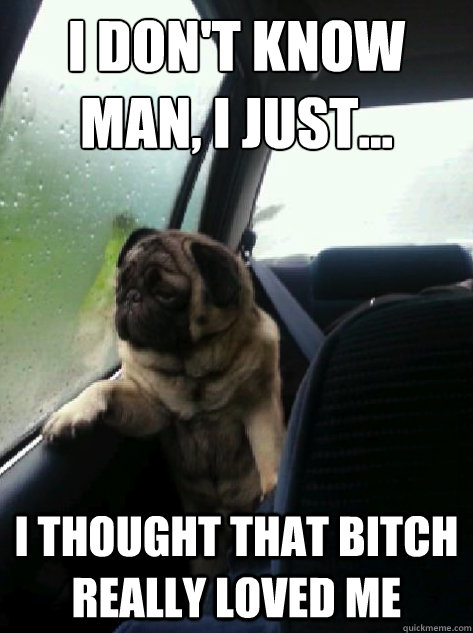 I don't know man, I just...
 I thought that bitch really loved me  Introspective Pug