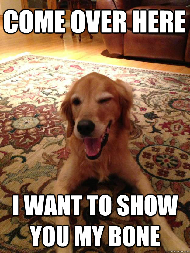 come over here i want to show you my bone  Smooth Move Dog