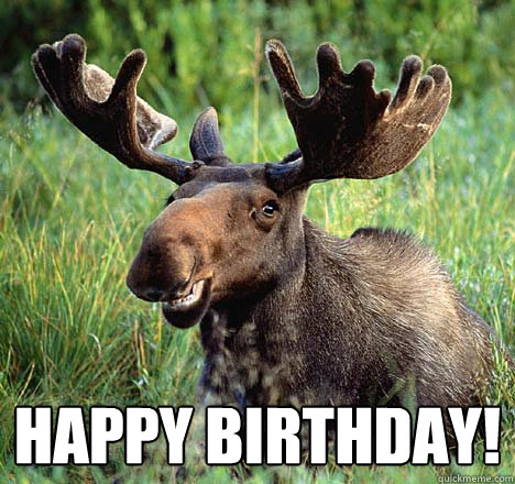  Happy Birthday! -  Happy Birthday!  Amoosing Moose