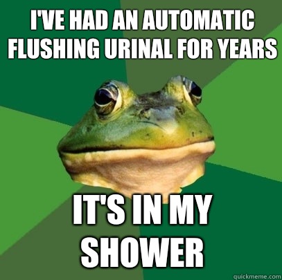 I've had an automatic flushing urinal for years It's in my shower  Foul Bachelor Frog