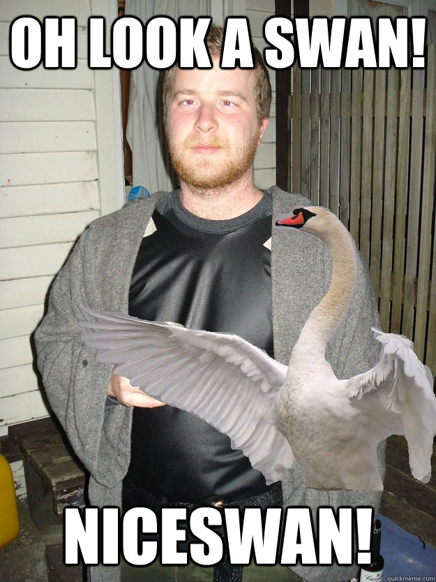 oh look a swan! Niceswan! - oh look a swan! Niceswan!  Typical Tom