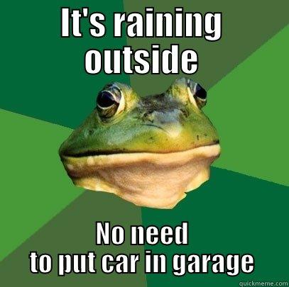IT'S RAINING OUTSIDE NO NEED TO PUT CAR IN GARAGE Foul Bachelor Frog