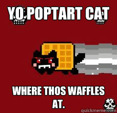 yo poptart cat where thos waffles at.  