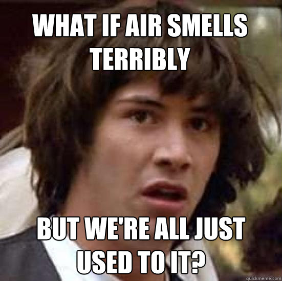 What if air smells terribly But we're all just used to it?  conspiracy keanu