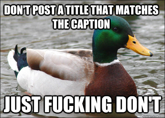 Don't post a title that matches the caption just fucking don't  Actual Advice Mallard
