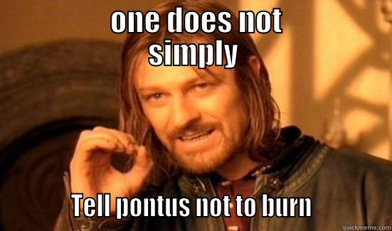            ONE DOES NOT           SIMPLY            TELL PONTUS NOT TO BURN             Boromir