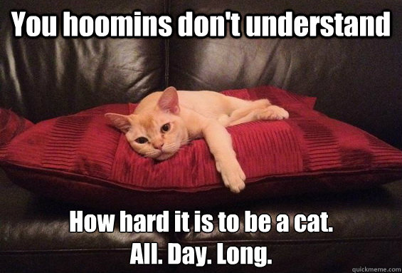 You hoomins don't understand How hard it is to be a cat.
All. Day. Long.  Disillusioned Cat