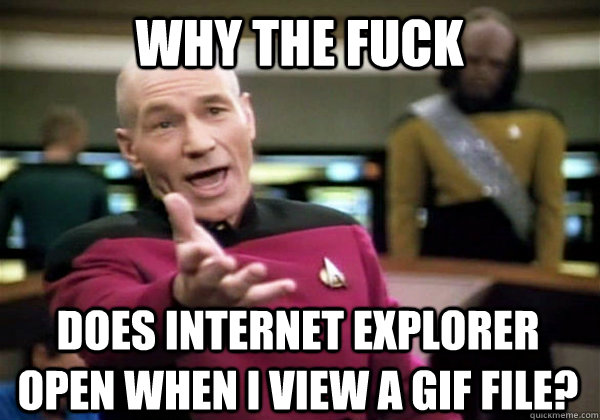WHY THE FUCK does internet explorer open when i view a gif file?  Patrick Stewart WTF