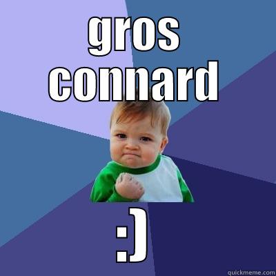 GROS CONNARD :) Success Kid