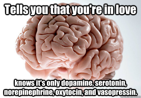 Tells you that you're in love knows it's only dopamine, serotonin, norepinephrine, oxytocin, and vasopressin.  Scumbag Brain