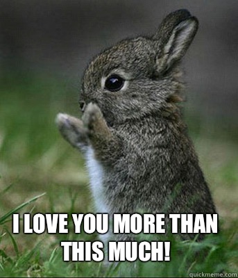 I love you more than this much! - I love you more than this much!  Cute bunny