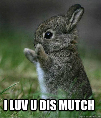 I luv U dis Mutch  Cute bunny